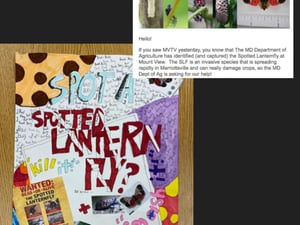 2023 green school app final (35)